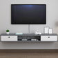 9" D Wall-mounted TV Stand Console Contemporary Closed Storage TV Stand with 2 Doors Clearhalo 'furn' 'furn_tv_stands_entertainment_centers' 'Furniture' 'Living Room Furniture' 'TV Stands & Entertainment Centers' 'TV Stands & Media Storage Furniture' 'tv_stands_entertainment_centers' 1200x1200_445fc2ed-3cf2-4fe9-90f2-999f8659d8eb