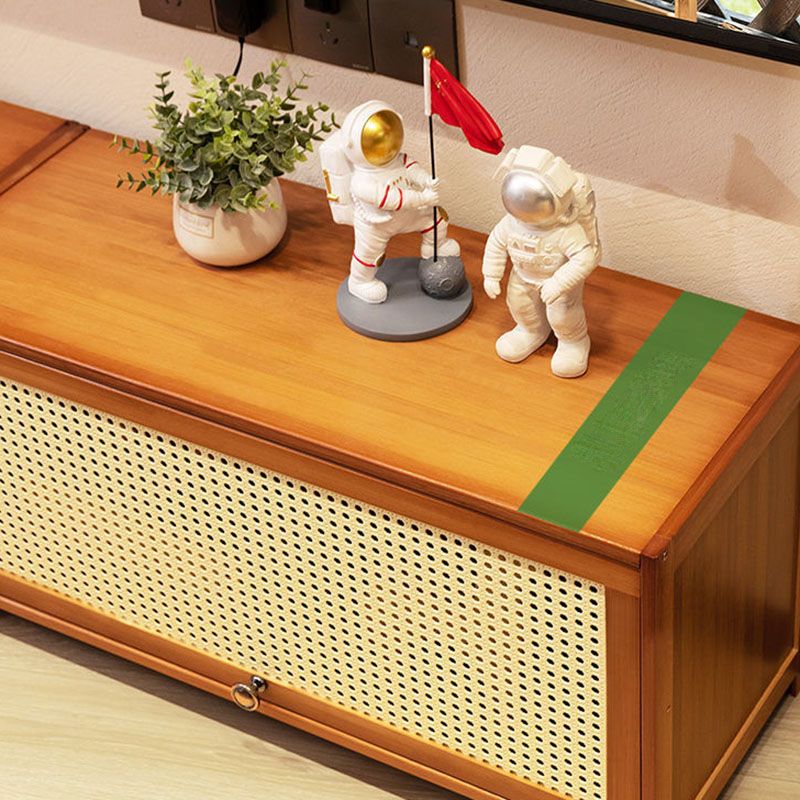 Enclosed Storage TV Console Scandinavian TV Media Console for Living Room Clearhalo 'furn' 'furn_tv_stands_entertainment_centers' 'Furniture' 'Living Room Furniture' 'TV Stands & Entertainment Centers' 'TV Stands & Media Storage Furniture' 'tv_stands_entertainment_centers' 1200x1200_449c2644-5926-4a39-93fd-e762c994d90d