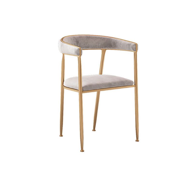 Glam Velvet Dining Room Chairs Metal Dining Side Arm Chairs for Restaurant Use Clearhalo ' kitchen&dining_furn' 'Dining Chairs' 'Dining Tables & Seating' 'dining_chair' 'furn' 'furn_dining_chair' 'Furniture' 'furniture_dining_chair' 'Kitchen & Dining Furniture' 'kitchen' 1200x1200_449f1cf9-762b-4eff-837e-dbae853b58cf