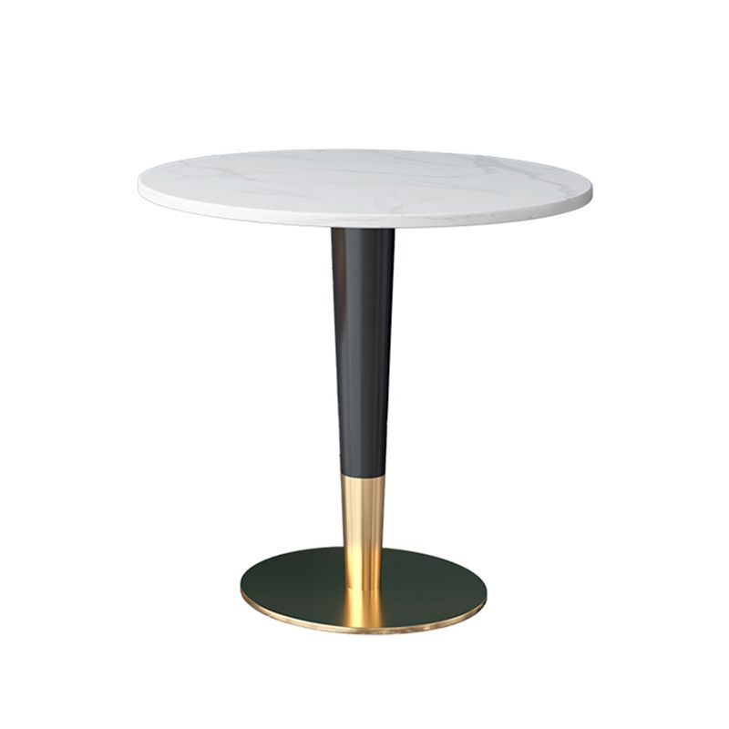 Glam 1/2 Pieces Dining Set Sintered Stone Dining Furniture for Home Use Clearhalo 'Dining Room Sets' 'Dining Tables & Seating' 'dining_room_set' 'furn' 'furn_dining_room_set' 'Furniture' 'furniture_dining_room_set' 'Kitchen & Dining Furniture' 'kitchen&dining_furn' 'kitchen' 1200x1200_44e1d7a8-8a4d-4eb5-baa0-8a54709b5aab