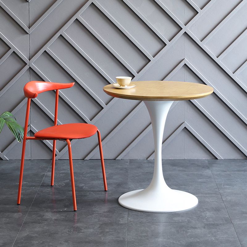 Modern Style Dining Chairs Armless Open Back Side Chairs with Metal Legs for Kitchen Clearhalo ' kitchen&dining_furn' 'Dining Chairs' 'Dining Tables & Seating' 'dining_chair' 'furn' 'furn_dining_chair' 'Furniture' 'furniture_dining_chair' 'Kitchen & Dining Furniture' 'kitchen' 1200x1200_450cd9d2-fdf5-4ad4-8699-c6645688ea71