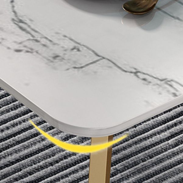 Nordic Glam Style 1/4/5 Pieces Dining Sintered Stone Dining Table Set with Metal Legs Clearhalo 'Dining Room Sets' 'Dining Tables & Seating' 'dining_room_set' 'furn' 'furn_dining_room_set' 'Furniture' 'furniture_dining_room_set' 'Kitchen & Dining Furniture' 'kitchen&dining_furn' 'kitchen' 1200x1200_45321605-bd23-449e-8125-959d3a4807dd