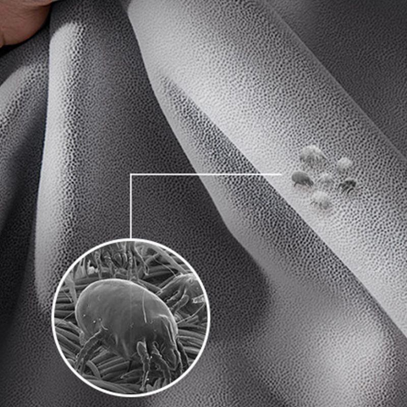 Divani convertibili contemporanei cuscino posteriore del divano letto per dormiente