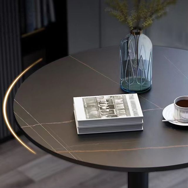 Stone Top Dining Table Round Dining Table with Pedestal Base in Gold Clearhalo 'Dining Tables & Seating' 'Dining Tables' 'dining_table' 'furn' 'furn_dining_table' 'Furniture' 'furniture_dining_table' 'Kitchen & Dining Furniture' 'kitchen' 'kitchen_dining_table' 1200x1200_45909c30-9672-42f9-a188-9763e6605e11