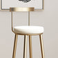 Glam Round Counter Bar Stool Backrest Bar Stool Iron Base with Footrest Clearhalo 'Bar Furniture' 'Bar Stools' 'bar_stools' 'furn' 'furn_bar_stools' 'furniture_bar_stools' 'Kitchen & Dining Furniture' 'kitchen&dining_furn' 'kitchen' 'kitchen_furn' Furniture' 1200x1200_45e4cbef-6f4a-416e-b291-ab55d5c85289