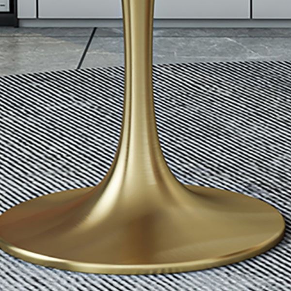 Round Dining Table with Metal Pedestal Modern Table for Home