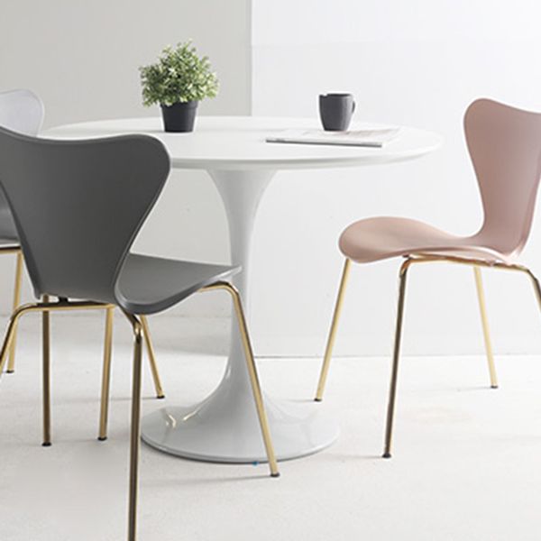 Round Tulip Base Modern Dining Table White Fixed Table with Sintered Stone Clearhalo ' dining_table' 'Dining Tables & Seating' 'Dining Tables' 'furn' 'furn_dining_table' 'Furniture' 'furniture_dining_table' 'Kitchen & Dining Furniture' 'kitchen&dining_furn' 'kitchen' 'kitchen_dining_table' 1200x1200_4613ea23-f520-44ef-9304-c49c52bfece2