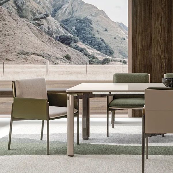 Gestoffeerde matte afwerking Dineerstoel Designer Stijl Conferentieruimte Solid Back Arm stoel