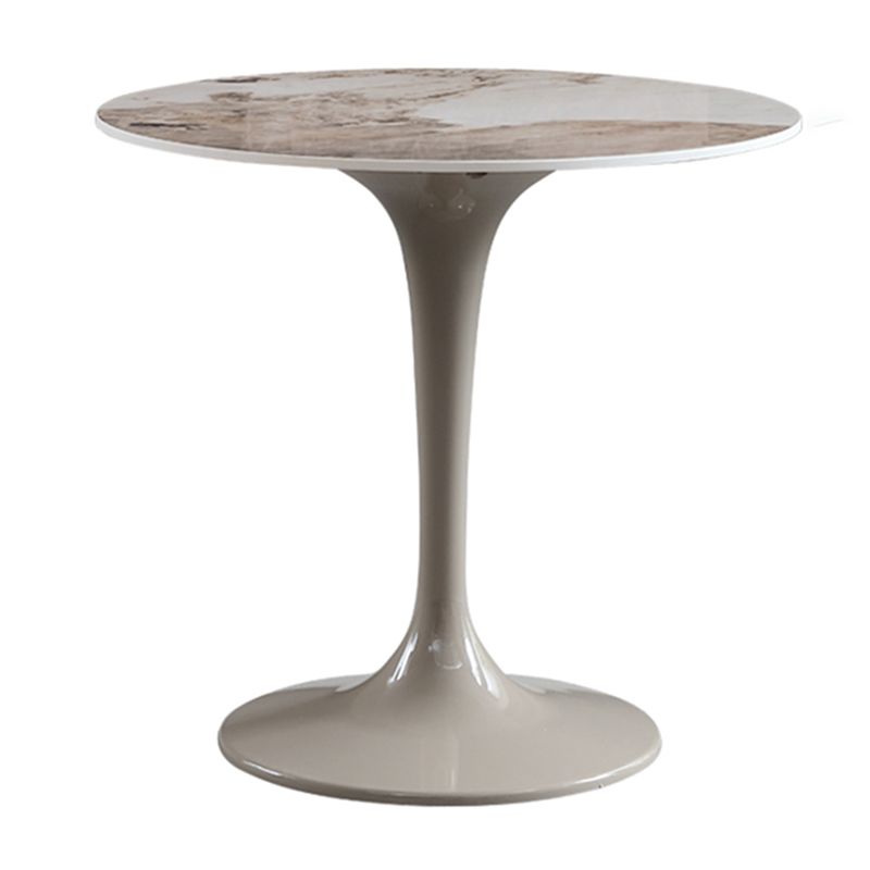 Round Contemporary Dining Table Brown Tone Fixed Table of Sintered Stone Clearhalo ' dining_table' 'Dining Tables & Seating' 'Dining Tables' 'furn' 'furn_dining_table' 'Furniture' 'furniture_dining_table' 'Kitchen & Dining Furniture' 'kitchen&dining_furn' 'kitchen' 'kitchen_dining_table' 1200x1200_466bfd0b-2299-4acf-b717-88f2d04131c4