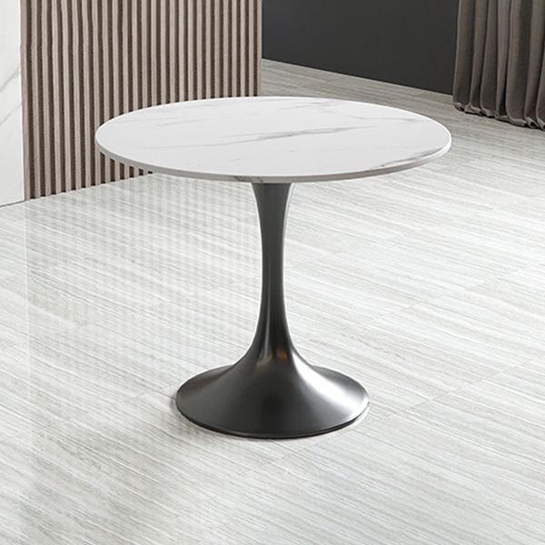 Modern Round Dining Table Sintered Stone Tulip Table for Dining Room Clearhalo 'Dining Tables & Seating' 'Dining Tables' 'dining_table' 'furn' 'furn_dining_table' 'Furniture' 'Kitchen & Dining Furniture' 1200x1200_470901f5-b491-4d16-ade9-b3fdcbec4ae7