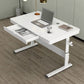 Hight Adjustable Writing Desk Bedroom White Trestle Table Leg Rectangular Desk Clearhalo 'furn' 'furn_office_desk' 'Furniture' 'furniture_office_desk' 'Office Desks' 'Office Furniture' 'office_desk' 1200x1200_47191acc-1bfa-4033-bd56-3d8a39a6f89e
