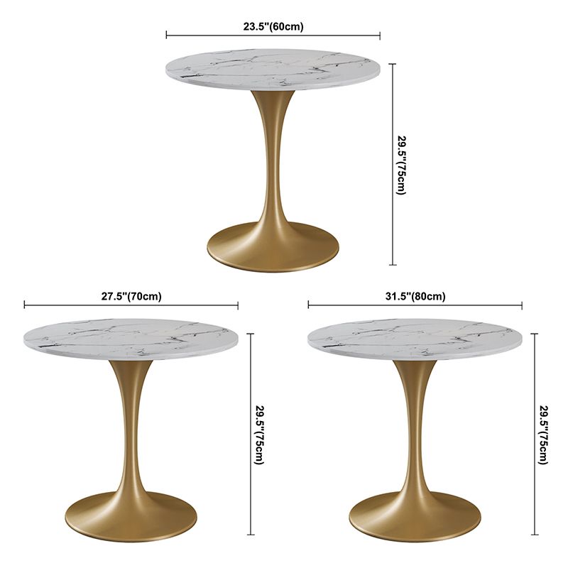 Sintered Stone Modern Style Dining Table White Round Table with Tulip Base Clearhalo ' dining_table' 'Dining Tables & Seating' 'Dining Tables' 'furn' 'furn_dining_table' 'Furniture' 'furniture_dining_table' 'Kitchen & Dining Furniture' 'kitchen&dining_furn' 'kitchen' 'kitchen_dining_table' 1200x1200_472bbeae-0d69-4e30-a84e-a3368c1873b0
