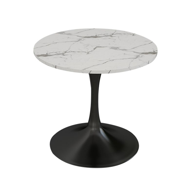 Modern Style Dining Table Sintered Stone Round Tulip Table for Dining Room Clearhalo 'Dining Tables & Seating' 'Dining Tables' 'dining_table' 'furn' 'furn_dining_table' 'Furniture' 'Kitchen & Dining Furniture' 1200x1200_4731e9d8-ba26-4fce-aaba-a5f7f9057904