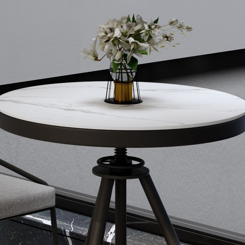 Modern Style Home Sintered Stone Dining Table Round Shape Table with Single Pedestal Base Clearhalo ' dining_table' 'Dining Tables & Seating' 'Dining Tables' 'furn' 'furn_dining_table' 'Furniture' 'furniture_dining_table' 'Kitchen & Dining Furniture' 'kitchen&dining_furn' 'kitchen' 'kitchen_dining_table' 1200x1200_47a30208-d19f-4c96-806e-cc7dd6f26f0c