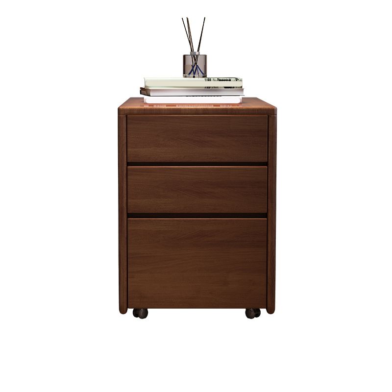 Solid Wood Bedside Cabinet Modern Minimalist Bedside Table with Drawers