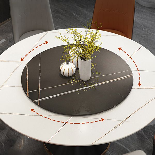 Modern Style Sintered Stone Dining Table Single Pedestal Base Round Table for Home with Turntable Clearhalo ' dining_table' 'Dining Tables & Seating' 'Dining Tables' 'furn' 'furn_dining_table' 'Furniture' 'furniture_dining_table' 'Kitchen & Dining Furniture' 'kitchen&dining_furn' 'kitchen' 'kitchen_dining_table' 1200x1200_47e3112e-1da0-4e36-8159-e6bd59982671