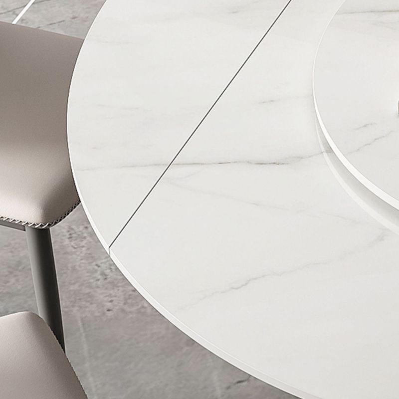 Modern Sintered Stone Top Dining Table Extendable Round Table with Pedestal Base Clearhalo 'Dining Tables & Seating' 'Dining Tables' 'dining_table' 'furn' 'furn_dining_table' 'Furniture' 'furniture_dining_table' 'Kitchen & Dining Furniture' 'kitchen' 'kitchen_dining_table' 1200x1200_485694af-28ce-4dd8-9259-7a14a7636a15