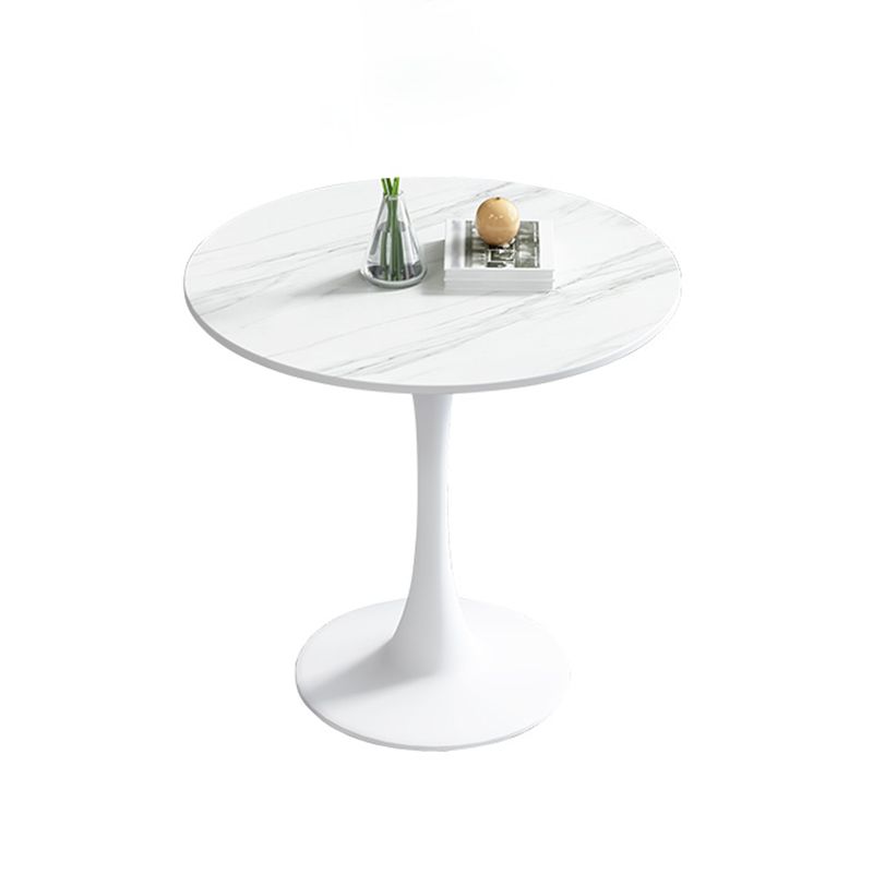 Simple Round Dining Table Sintered Stone Table with Tulip Base for Dining Room Clearhalo ' dining_table' 'Dining Tables & Seating' 'Dining Tables' 'furn' 'furn_dining_table' 'Furniture' 'furniture_dining_table' 'Kitchen & Dining Furniture' 'kitchen&dining_furn' 'kitchen' 'kitchen_dining_table' 1200x1200_485762c5-29cd-441d-90ed-47263fd8bdb0