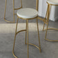 Contemporary Metal Counter Height Stools Bar Stool with Footrest Clearhalo 'Bar Furniture' 'Bar Stools' 'bar_stools' 'furn' 'furn_bar_stools' 'Furniture' 'Kitchen & Dining Furniture' 1200x1200_48673f2a-62c2-4f5a-ba45-4bc20ee2f7a6