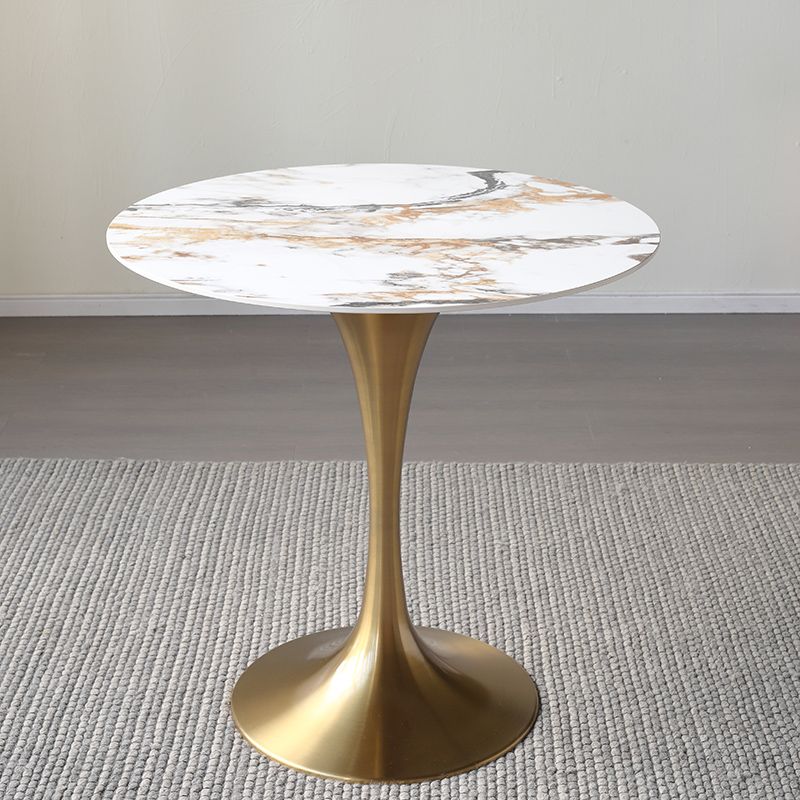 Metal Modern Round Table Sintered Stone Table for Kitchen and Dining Room Clearhalo ' dining_table' 'Dining Tables & Seating' 'Dining Tables' 'furn' 'furn_dining_table' 'Furniture' 'furniture_dining_table' 'Kitchen & Dining Furniture' 'kitchen&dining_furn' 'kitchen' 'kitchen_dining_table' 1200x1200_4990a3c9-a714-4b15-a6ee-e71774259f9f