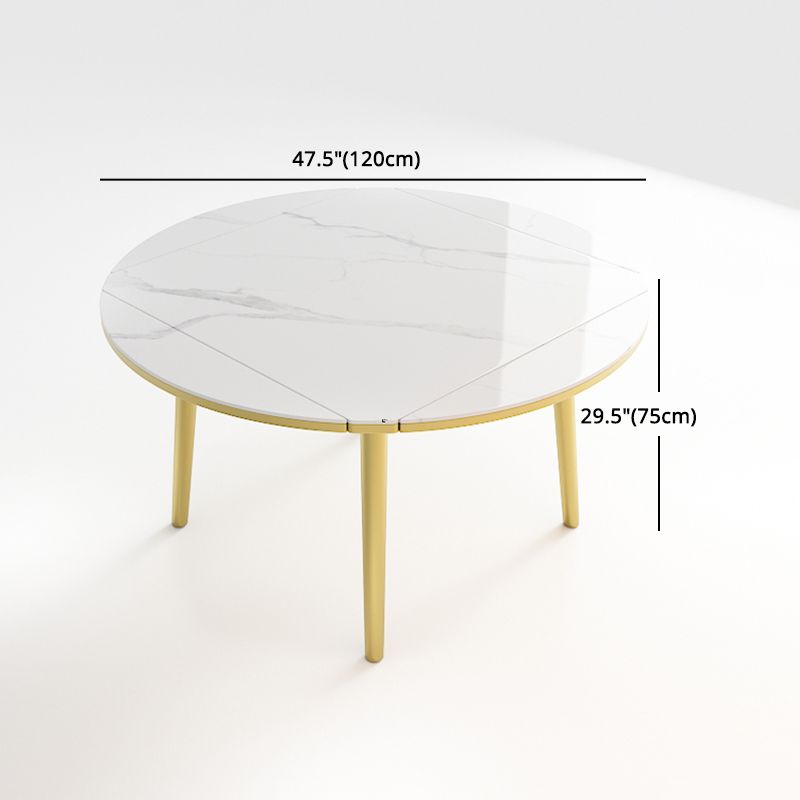 Glam 1/2/5/7 Pieces Dining Set Round Sintered Stone Dining Table for Dining Room Clearhalo 'Dining Room Sets' 'Dining Tables & Seating' 'dining_room_set' 'furn' 'furn_dining_room_set' 'Furniture' 'furniture_dining_room_set' 'Kitchen & Dining Furniture' 'kitchen&dining_furn' 'kitchen' 1200x1200_49a0958c-ce17-400c-94a8-41c7519fb2ee