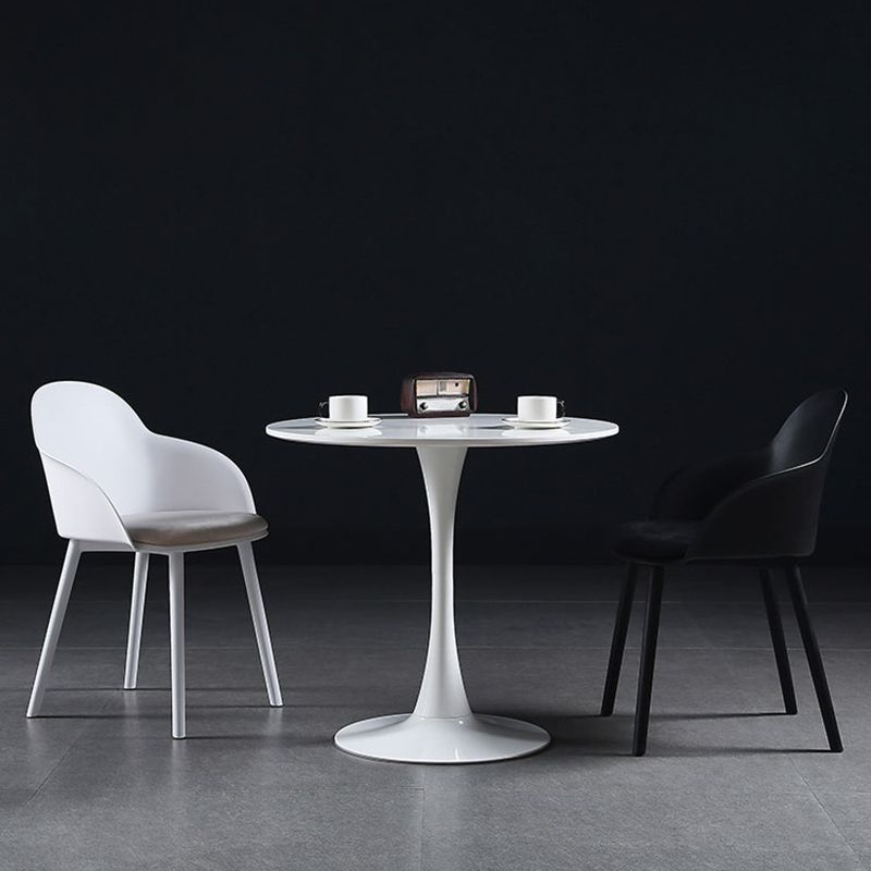 Contemporary Style Dining Chair Kitchen Arm Side Chair with Plastic Legs Clearhalo ' kitchen&dining_furn' 'Dining Chairs' 'Dining Tables & Seating' 'dining_chair' 'furn' 'furn_dining_chair' 'Furniture' 'furniture_dining_chair' 'Kitchen & Dining Furniture' 'kitchen' 1200x1200_49a85599-73c9-4949-928b-5ec690e7d35c