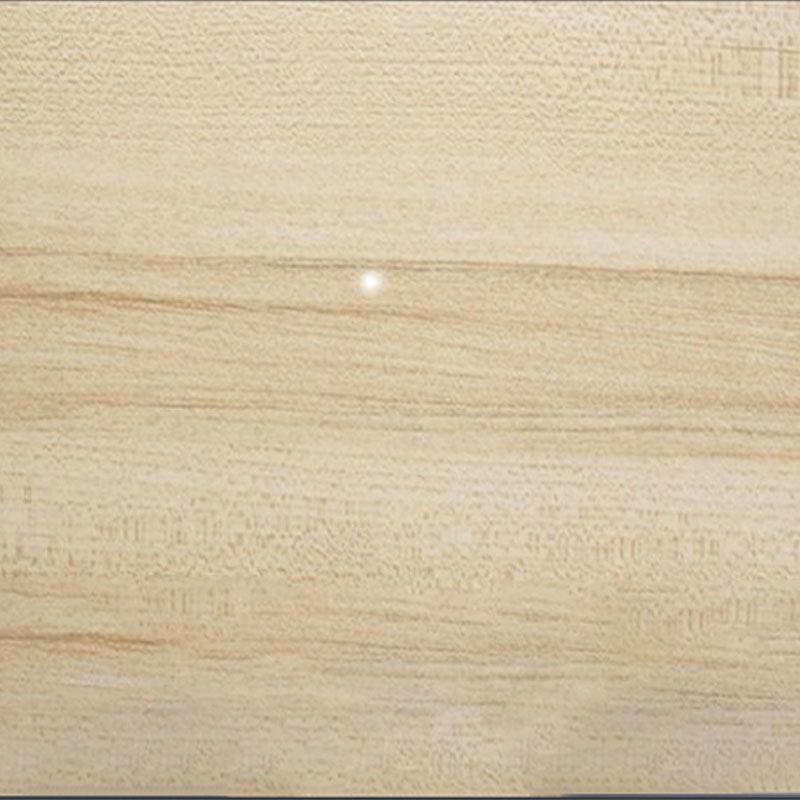 Bibliothèque de style moderne bois fermé étagère arrière avec porte pour le bureau