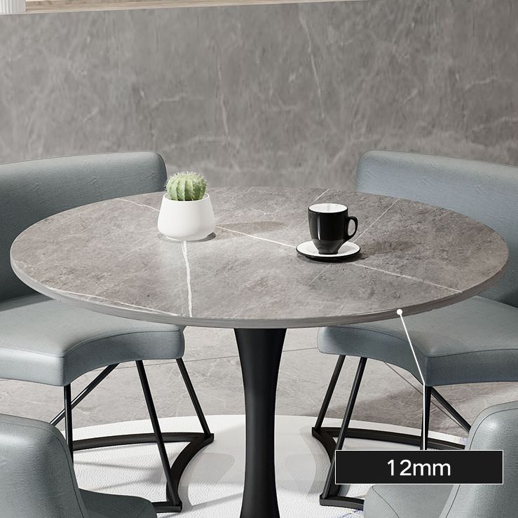 Modern Style Round Dining Table Sintered Stone Table with Tulip Base for Home Clearhalo ' dining_table' 'Dining Tables & Seating' 'Dining Tables' 'furn' 'furn_dining_table' 'Furniture' 'furniture_dining_table' 'Kitchen & Dining Furniture' 'kitchen&dining_furn' 'kitchen' 'kitchen_dining_table' 1200x1200_4a5b6fbd-ab75-47be-8922-8f06173693e3