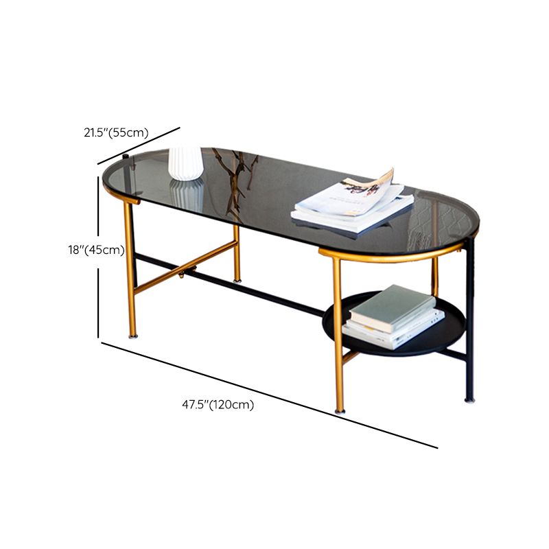 Modernism Elliptical Glass Top Coffee Cocktail Table with Shelf Clearhalo 'Coffee & Accent Tables' 'Coffee Tables' 'coffee_tables' 'furn' 'furn_coffee_tables' 'Furniture' 'Living Room Furniture' 1200x1200_4aaeae71-71b6-4775-8d64-77f931408b2d