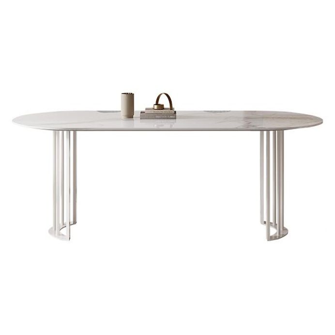 Metal Modern Double Pedestal Dining Table Sintered Stone Top Table for Dining Room and Kitchen Clearhalo ' dining_table' 'Dining Tables & Seating' 'Dining Tables' 'furn' 'furn_dining_table' 'Furniture' 'furniture_dining_table' 'Kitchen & Dining Furniture' 'kitchen&dining_furn' 'kitchen' 'kitchen_dining_table' 1200x1200_4b02a2c2-4af3-4cc2-8e34-71a3e04f3c9c