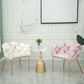 Glam Metal Dining Room Chair Velvet Dining Side Chair for Home Use Clearhalo 'Dining Chairs' 'Dining Tables & Seating' 'dining_chair' 'furn' 'furn_dining_chair' 'Furniture' 'Kitchen & Dining Furniture' 1200x1200_4b0c9fef-07d6-4dd2-b4a7-22f5ff07fa8f