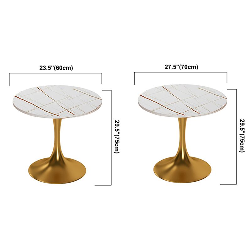 Round Luxury Style Dining Table White Tone Fixed Table with Sintered Stone Clearhalo ' dining_table' 'Dining Tables & Seating' 'Dining Tables' 'furn' 'furn_dining_table' 'Furniture' 'furniture_dining_table' 'Kitchen & Dining Furniture' 'kitchen&dining_furn' 'kitchen' 'kitchen_dining_table' 1200x1200_4ba4faf4-d6f8-42bb-b380-9c8554a29698