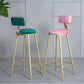 Glam Armless Backrest Counter Stool Iron Beauty Shop Bar Stool with Velvet Cushion Clearhalo 'Bar Furniture' 'Bar Stools' 'bar_stools' 'furn' 'furn_bar_stools' 'furniture_bar_stools' 'Kitchen & Dining Furniture' 'kitchen&dining_furn' 'kitchen' 'kitchen_furn' Furniture' 1200x1200_4be8f044-d42b-46dc-8e95-78844473972e