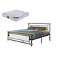 Modern Metal Open-Frame Bed Mattress Included Standard Bed with Custom Gold Legs