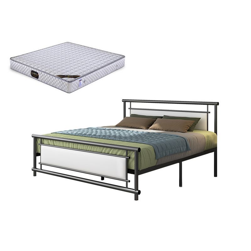 Modern Metal Open-Frame Bed Mattress Included Standard Bed with Custom Gold Legs