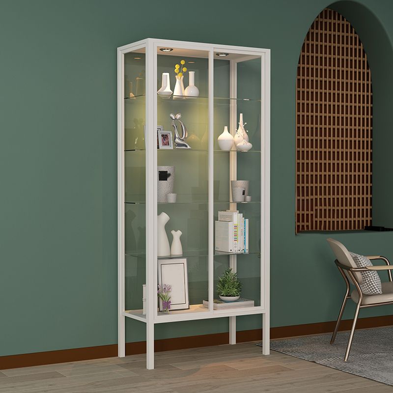 Modern Metal Curio Cabinet Glass Doors with Lighting, 31"L X 16"W Clearhalo 'Display & China Cabinets' 'display_china_cabinets' 'furn' 'furn_display_china_cabinets' 'Furniture' 'Kitchen & Dining Furniture' 1200x1200_4cb0bd69-6962-44ec-9f1d-5967bcfc152d