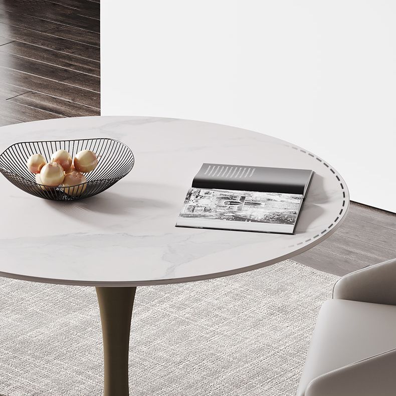 Round Dining Table Traditional Luxury Dining Table with Tulip Base Clearhalo 'Dining Tables & Seating' 'Dining Tables' 'dining_table' 'furn' 'furn_dining_table' 'Furniture' 'Kitchen & Dining Furniture' 1200x1200_4cb5622c-5343-49b7-aa08-2749596b684e