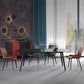 Designer Style Sintered Stone Dining Set Rectangle 1/2/5/7 Pieces Dining Area Table Set Clearhalo 'Dining Room Sets' 'Dining Tables & Seating' 'dining_room_set' 'furn' 'furn_dining_room_set' 'Furniture' 'Kitchen & Dining Furniture' 1200x1200_4cc8c092-de2f-4ee2-8fd7-708649a13092