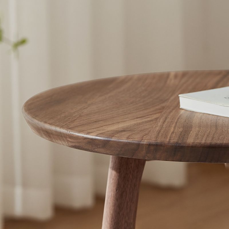 Table d'appoint contemporaine en bois massif, table d'appoint de salon marron