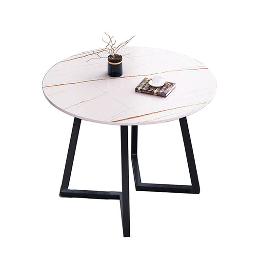 Round Traditional Luxury Dining Table Sintered Stone Table with Double Pedestal,31.5"L x 29.5"H