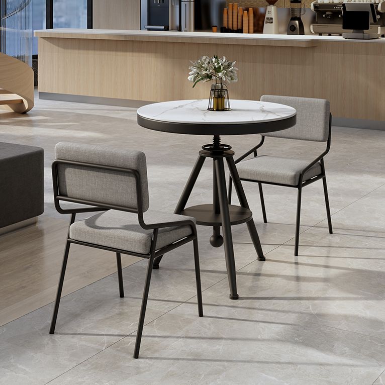 Modern Style Home Sintered Stone Dining Table Round Shape Table with Single Pedestal Base Clearhalo ' dining_table' 'Dining Tables & Seating' 'Dining Tables' 'furn' 'furn_dining_table' 'Furniture' 'furniture_dining_table' 'Kitchen & Dining Furniture' 'kitchen&dining_furn' 'kitchen' 'kitchen_dining_table' 1200x1200_4d27c56b-b5dd-400a-b209-bb1eb46188e2