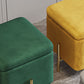 Ottoman Square Pure Color Velvet Scratch Resistant Ottoman with Storage Clearhalo 'furn' 'furn_ottomans_poufs' 'Furniture' 'Living Room Furniture' 'Ottomans & Poufs' 'ottomans_poufs' 1200x1200_4d2da687-3f01-40d3-ad2f-5bbbe93b3558