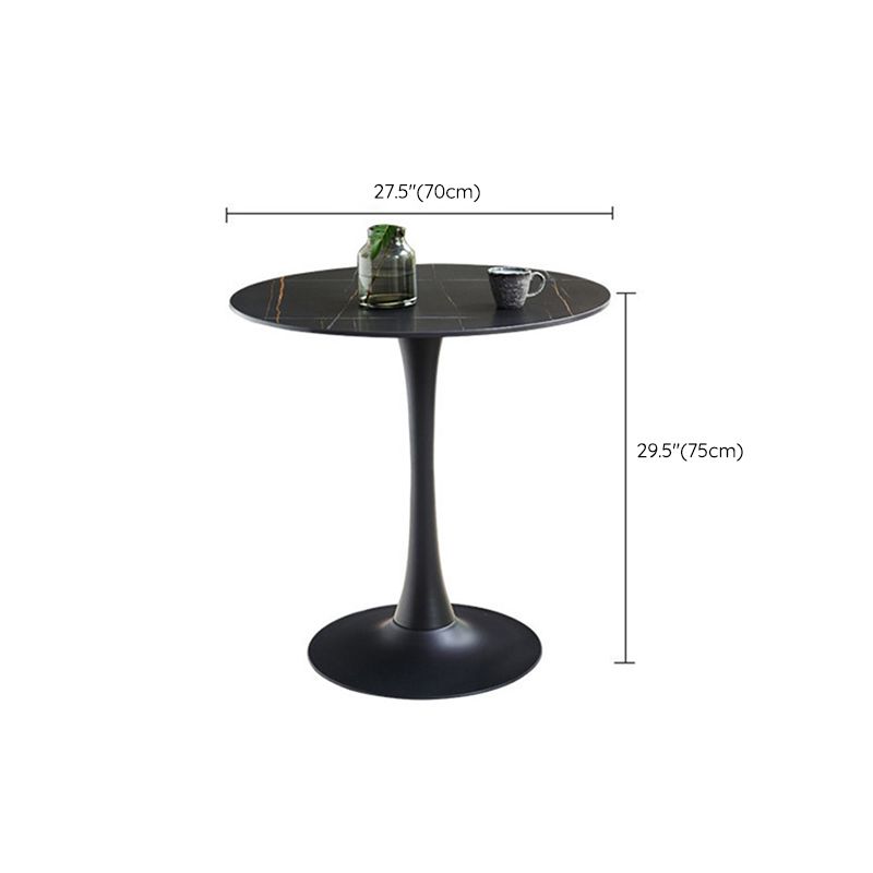 Modern Tulip Pedestal Dining Table Stone Table for Dining Room Clearhalo 'Dining Tables & Seating' 'Dining Tables' 'dining_table' 'furn' 'furn_dining_table' 'Furniture' 'Kitchen & Dining Furniture' 1200x1200_4d34a9bb-99fb-4db9-b714-a60fa11c6e99