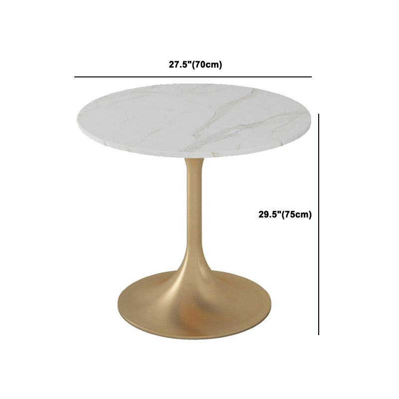 Glam Sintered Stone Dining Set Round 1/2/4/5 Pieces Dining Set for Home Use Clearhalo 'Dining Room Sets' 'Dining Tables & Seating' 'dining_room_set' 'furn' 'furn_dining_room_set' 'Furniture' 'Kitchen & Dining Furniture' 1200x1200_4d3bb74e-87e9-4901-b939-8593875472a7