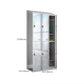 Chrome Steel Cabinet with Hinged Doors Modern Storage Cabinet for Bathroom