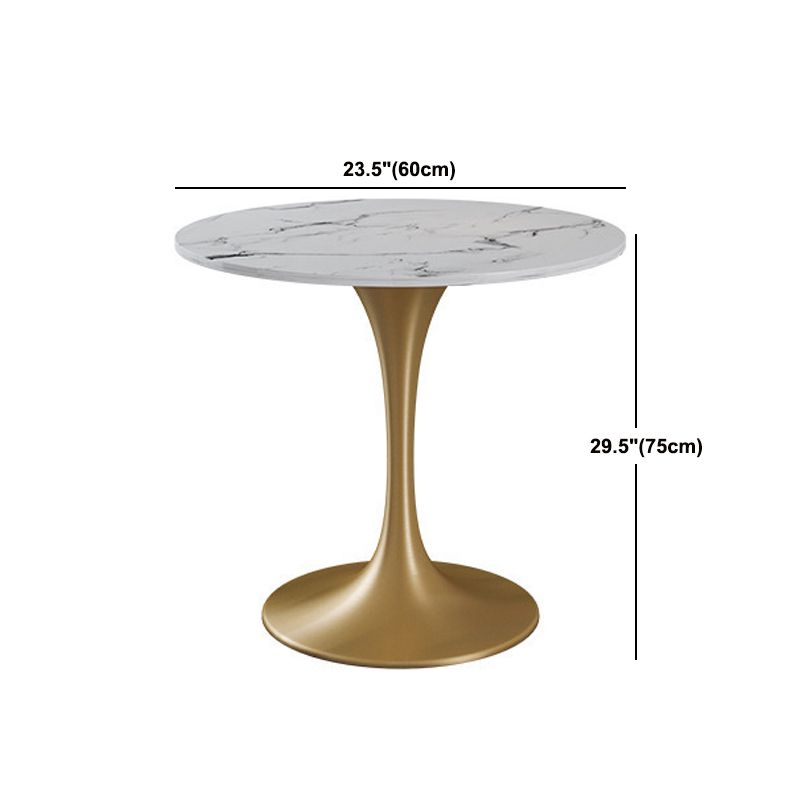 Glam Sintered Stone Dining Table Set Round 1/2/4/5 Pieces Dining Set for Home Use Clearhalo 'Dining Room Sets' 'Dining Tables & Seating' 'dining_room_set' 'furn' 'furn_dining_room_set' 'Furniture' 'Kitchen & Dining Furniture' 1200x1200_4d9e179c-7672-4927-8a7f-7f1cb2944b2d