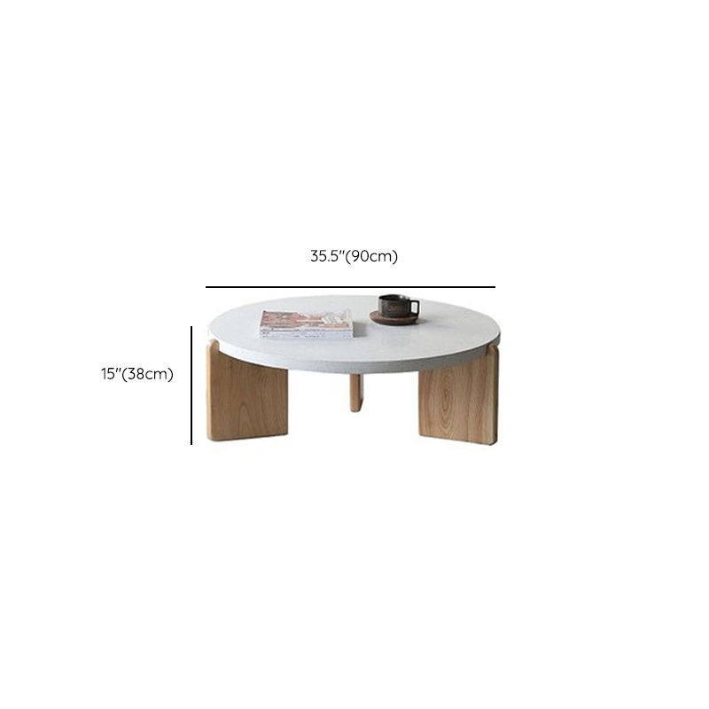 Stone and Solid Wood Coffee or End Table Contemporary Coffee Table in Beige
