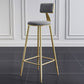 Nordic Armless Backrest Counter Stool Iron Dessert Shop Bar Stool with Velvet Cushion Clearhalo 'Bar Furniture' 'Bar Stools' 'bar_stools' 'furn' 'furn_bar_stools' 'Furniture' 'furniture_bar_stools' 'Kitchen & Dining Furniture' 1200x1200_4e6e41bb-1a57-48f7-b099-136e5d1592ab