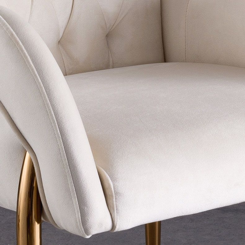 Modern Metal Dining Room Chair Velvet Side Arm Chair for Restaurant Use Clearhalo ' kitchen&dining_furn' 'Dining Chairs' 'Dining Tables & Seating' 'dining_chair' 'furn' 'furn_dining_chair' 'Furniture' 'furniture_dining_chair' 'Kitchen & Dining Furniture' 'kitchen' 1200x1200_4e7bf449-d5c2-40c9-8831-d1ac2fc8f95d