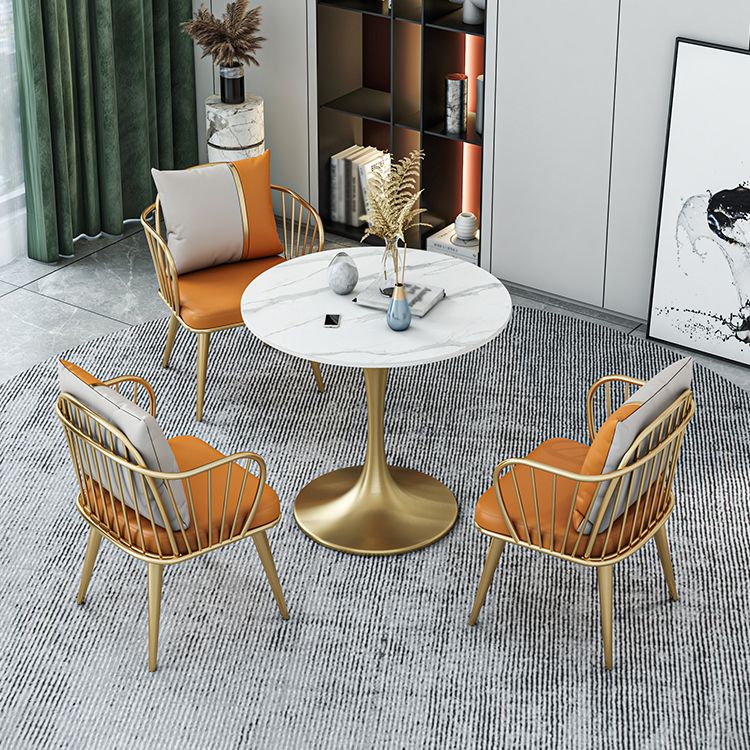 Glam 1/2/3/4/5 Pieces Sintered Stone Dining Set Dining Furniture Set /Separate Items Clearhalo 'Dining Room Sets' 'Dining Tables & Seating' 'dining_room_set' 'furn' 'furn_dining_room_set' 'Furniture' 'furniture_dining_room_set' 'Kitchen & Dining Furniture' 'kitchen&dining_furn' 'kitchen' 1200x1200_4eab3dac-428c-4208-954c-6c1c2dd0e1d9
